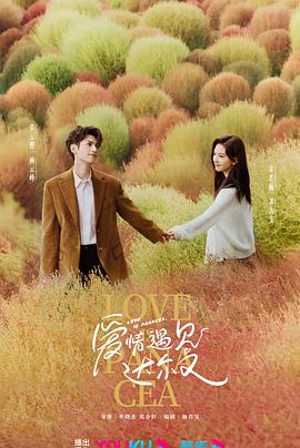 菏泽网站优化选哪家